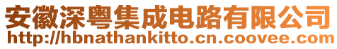 安徽深粵集成電路有限公司