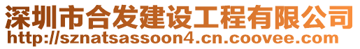 深圳市合發(fā)建設工程有限公司