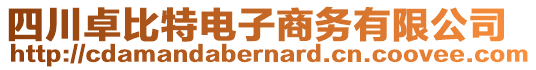 四川卓比特電子商務(wù)有限公司