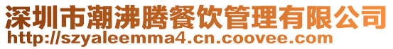 深圳市潮沸騰餐飲管理有限公司