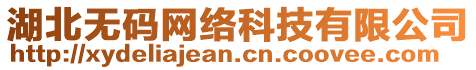 湖北無(wú)碼網(wǎng)絡(luò)科技有限公司