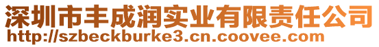 深圳市豐成潤(rùn)實(shí)業(yè)有限責(zé)任公司