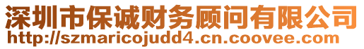 深圳市保誠(chéng)財(cái)務(wù)顧問(wèn)有限公司