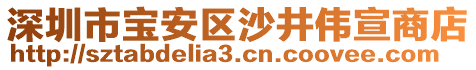 深圳市寶安區(qū)沙井偉宣商店