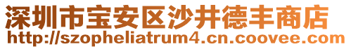 深圳市寶安區(qū)沙井德豐商店