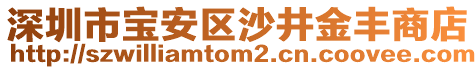 深圳市寶安區(qū)沙井金豐商店