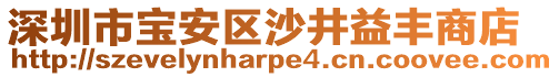 深圳市寶安區(qū)沙井益豐商店