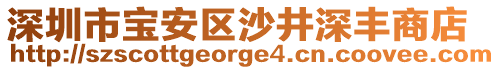 深圳市寶安區(qū)沙井深豐商店