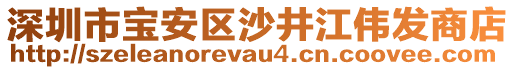 深圳市寶安區(qū)沙井江偉發(fā)商店