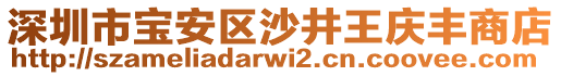 深圳市寶安區(qū)沙井王慶豐商店