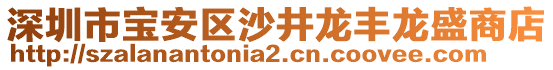 深圳市寶安區(qū)沙井龍豐龍盛商店