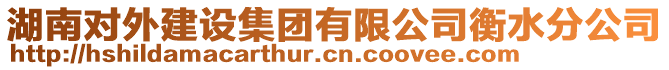 湖南對外建設(shè)集團有限公司衡水分公司