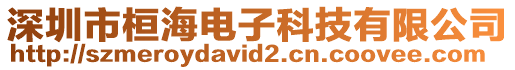 深圳市桓海電子科技有限公司