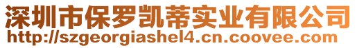 深圳市保羅凱蒂實業有限公司