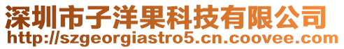 深圳市子洋果科技有限公司
