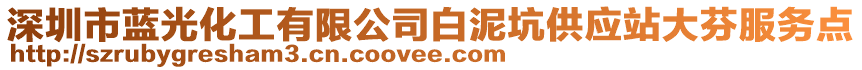 深圳市藍光化工有限公司白泥坑供應站大芬服務點