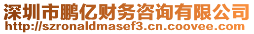 深圳市鵬億財務咨詢有限公司