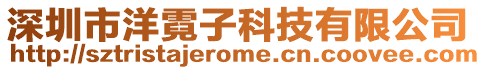 深圳市洋霓子科技有限公司