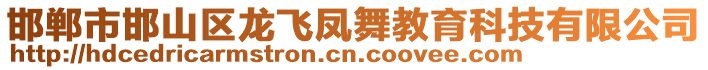 邯鄲市邯山區龍飛鳳舞教育科技有限公司