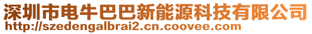 深圳市電牛巴巴新能源科技有限公司