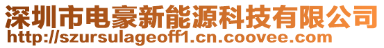 深圳市電豪新能源科技有限公司