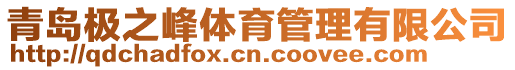 青島極之峰體育管理有限公司