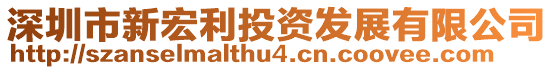 深圳市新宏利投資發展有限公司