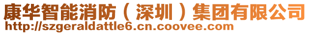 康華智能消防(深圳)集團有限公司