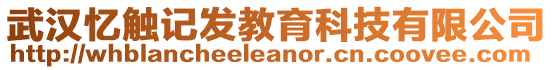 武漢憶觸記發(fā)教育科技有限公司