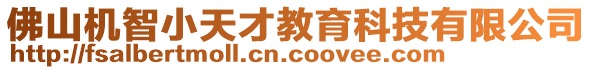 佛山機(jī)智小天才教育科技有限公司