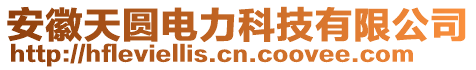 安徽天圓電力科技有限公司