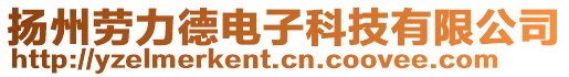 揚(yáng)州勞力德電子科技有限公司