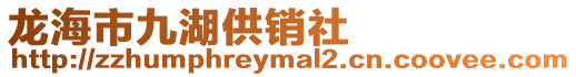 龍海市九湖供銷社