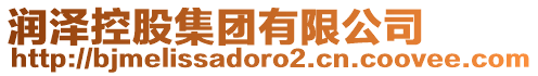 潤澤控股集團有限公司