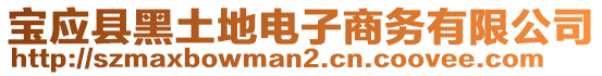 寶應(yīng)縣黑土地電子商務(wù)有限公司