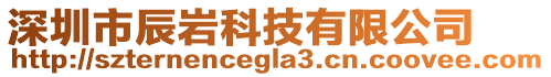 深圳市辰巖科技有限公司