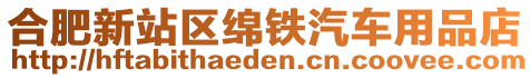 合肥新站區綿鐵汽車用品店