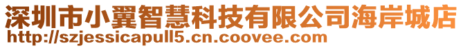 深圳市小翼智慧科技有限公司海岸城店