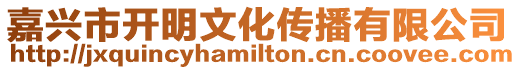 嘉興市開明文化傳播有限公司