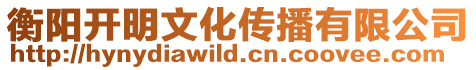 衡陽開明文化傳播有限公司