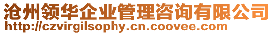 滄州領華企業(yè)管理咨詢有限公司