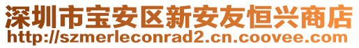 深圳市寶安區(qū)新安友恒興商店