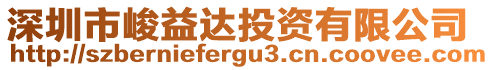 深圳市峻益達投資有限公司