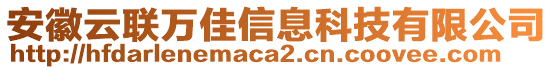 安徽云聯(lián)萬(wàn)佳信息科技有限公司