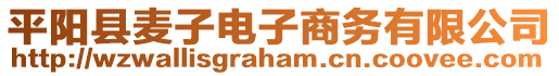 平陽縣麥子電子商務(wù)有限公司