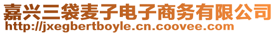 嘉興三袋麥子電子商務有限公司