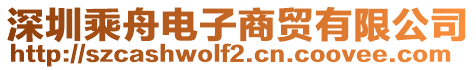 深圳乘舟電子商貿有限公司