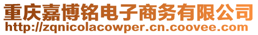 重慶嘉博銘電子商務(wù)有限公司