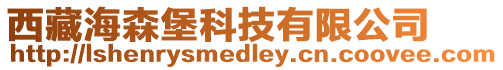 西藏海森堡科技有限公司