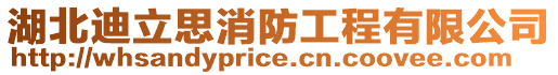 湖北迪立思消防工程有限公司